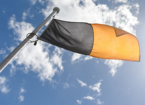 Kilkenny Flag