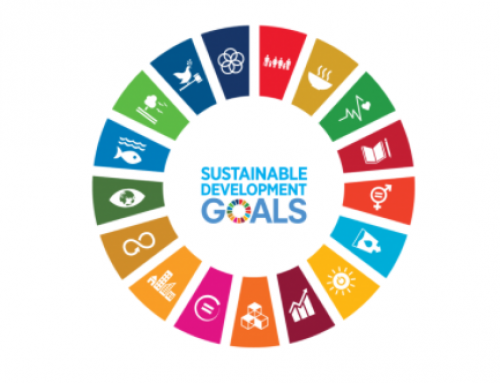 Free PPN Webinar  Learn about the Sustainable Development Goals (SDGs)